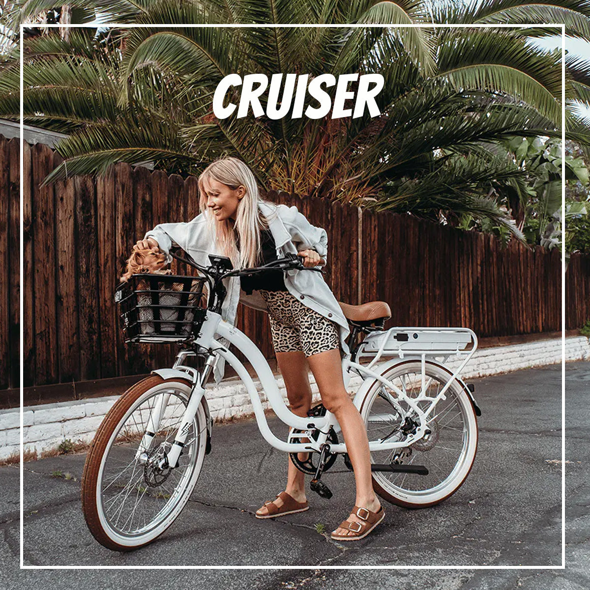 Cruiser